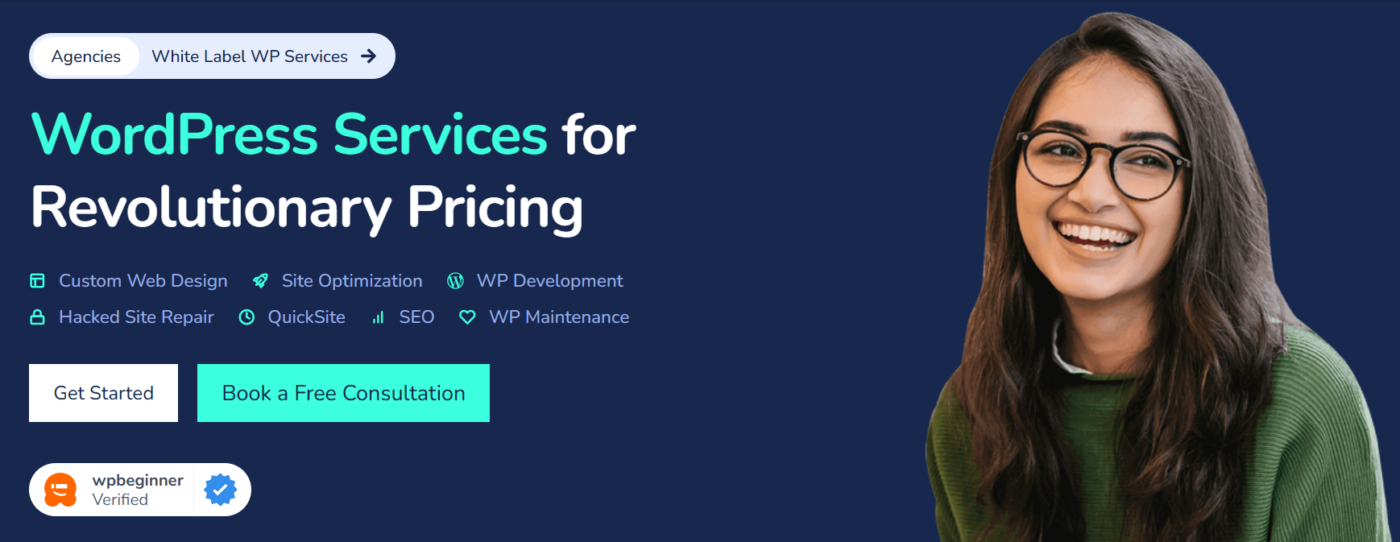 Professional WordPress Maintenance Services