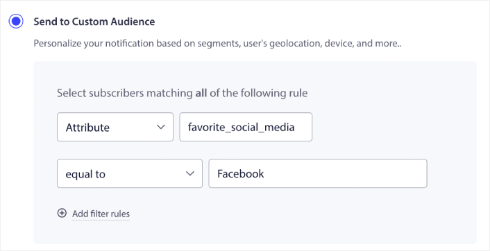 Using Attributes for Custom Audience