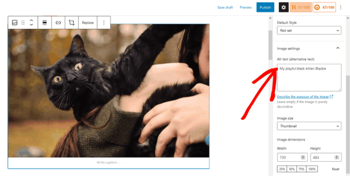 How to add alt text in WordPress